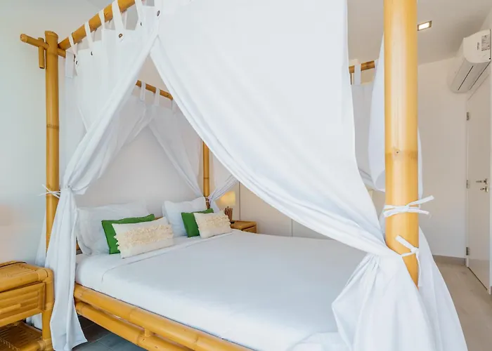 Dino With Ocean View